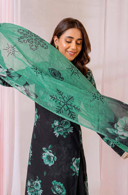 Black Series By Anaya Noor Digital Printed Chamki Lawn 3PC