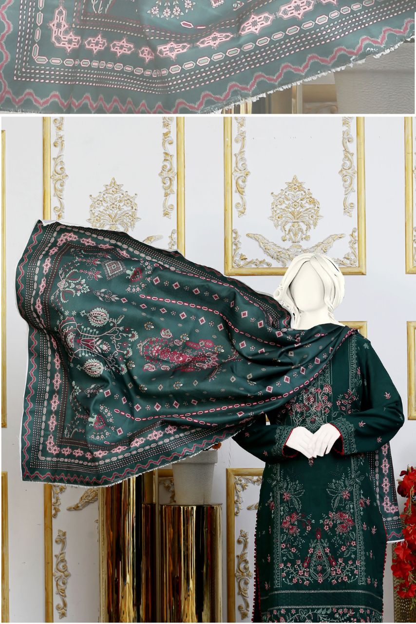 Amber By Anaya noor Emb Khaddar-3PC