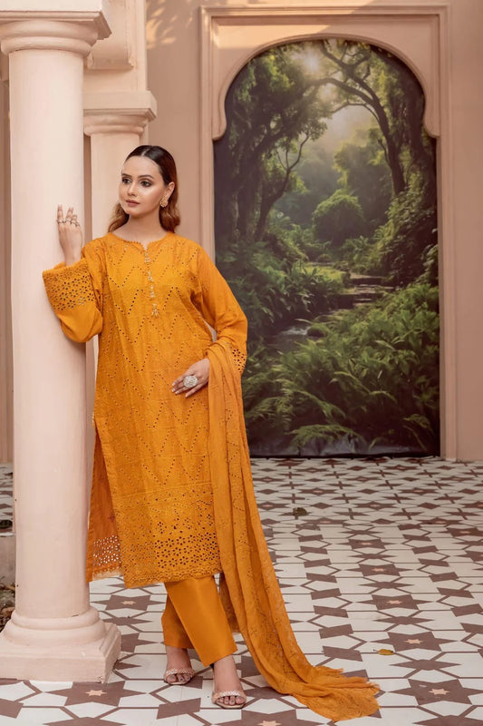 Cotton Kari By Anaya Emb Chickankari-3PC